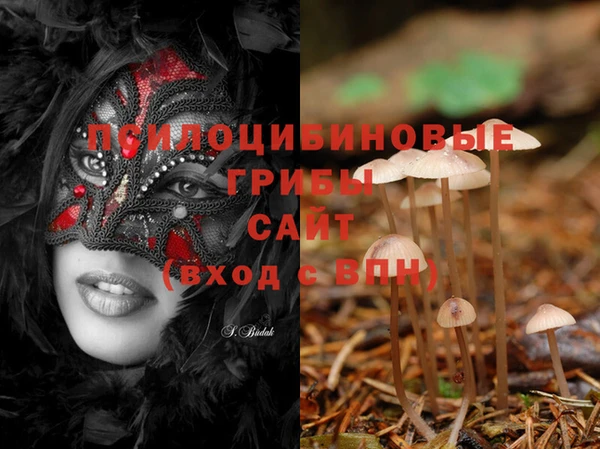a pvp Новосибирск