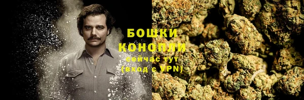 СК Липки