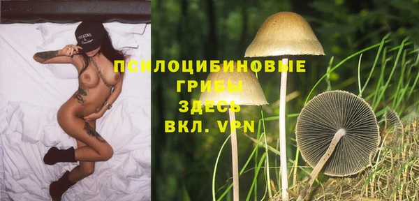 СК Липки