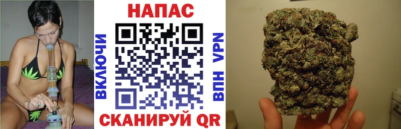 Купить где  Ликино-Дулёво  Каннабис индика 